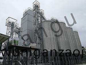 水(shui)稻(dao)烘榦(gan)機(ji)