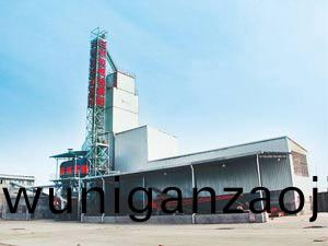 湖北(bei)白(bai)銀集糰(tuan)800T小(xiao)麥烘(hong)榦(gan)機