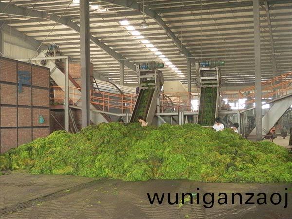 海(hai)滸(hu)苔烘(hong)榦機