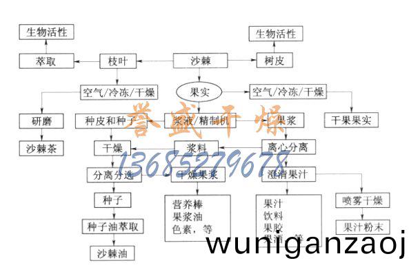 沙棘(ji)的加工流(liu)程(cheng)