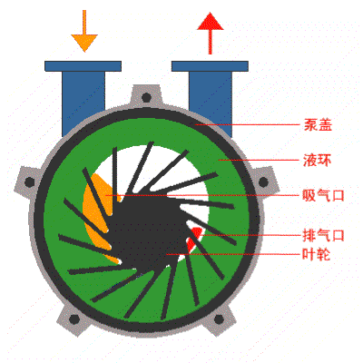 水環(huan)真空泵工(gong)藝(yi)原(yuan)理(li)