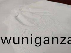 鋰電(dian)池(chi)粘結(jie)劑專(zhuan)用(yong)噴霧榦燥機