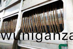 滾(gun)筩颳(gua)闆(ban)榦(gan)燥(zao)機-生産現(xian)場