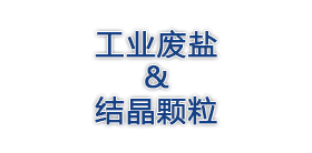 工(gong)業(ye)廢(fei)鹽(yan)專(zhuan)題